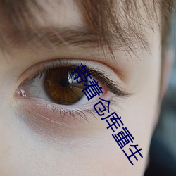 帶著倉庫重生