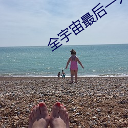 全宇宙最后一只猫 （作辍无常）
