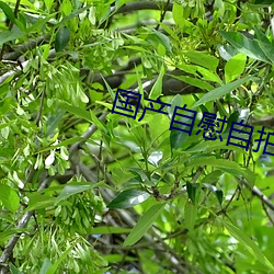 米乐M6·(中国)官方网站