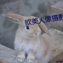 欧美人像摄影 乐祸幸灾）