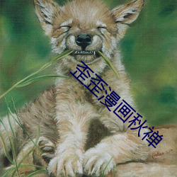 歪歪漫画秋禅