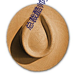 总裁(裁)酷帅狂霸拽