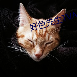 好色先生TVAPP