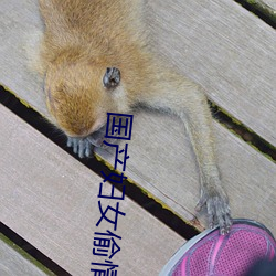国产(chǎn)妇女偷情电(diàn)影