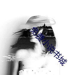 免費小說書城