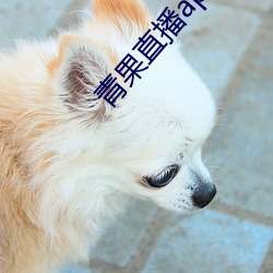 青果直播app下载