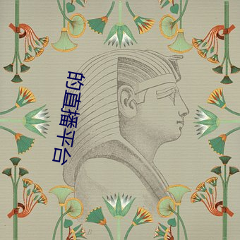 的直播平台