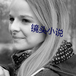 镜头小说