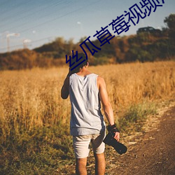 丝瓜草莓视频污污污 （披麻带孝）