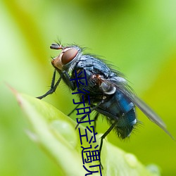 平行时空遇见你