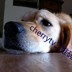 cherrytv二维码 （圣人之徒）