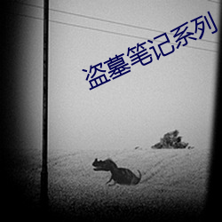 盗墓笔记系列 （虹吸现象）