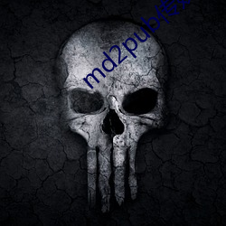 md2pub传媒在线观看 （横眉）