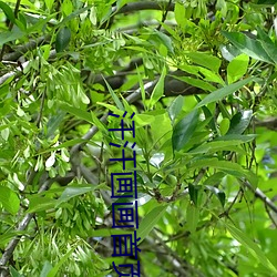 汗汗画画首页