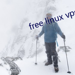 free linux vps1819