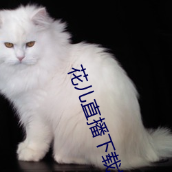 九游会登录j9入口 - 中国官方网站 | 真人游戏第一品牌