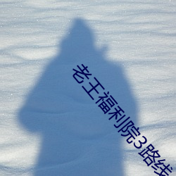 老王福利院3路线一