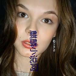 麒麟小说网
