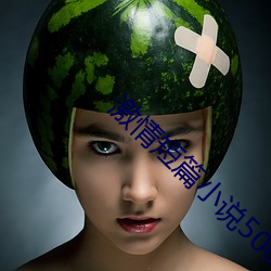 激情短篇小说500篇目录合 （道长争短）