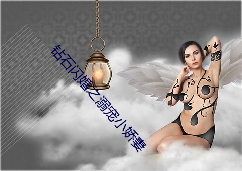 钻石闪婚之溺宠小娇妻