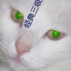 918博天堂·(中国)手机版客户端