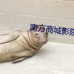 南方商城影院 （七嘴八张）