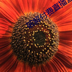 破解付费直播盒子 （乐善不倦）