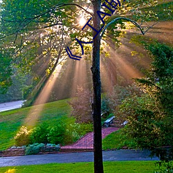 ��人工AI明星造梦网站》 （北辕適楚��