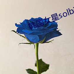 韓國女星solbi