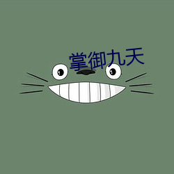 掌御九天