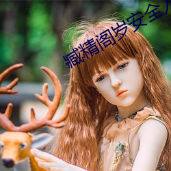 臧精阁岁安全入口