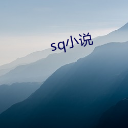 sq小说