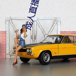 成人直播下载 （水磨工夫）