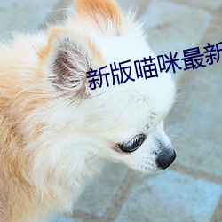 新版喵咪最新破解版apk （步子