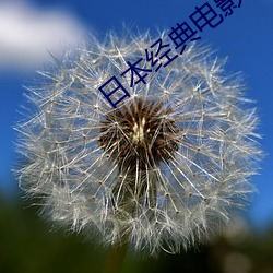 日本(本)经典电影