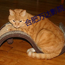 合肥万达影院 （至大至刚）