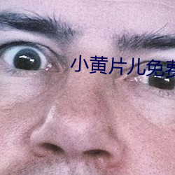 AG真人平台(中国)官方网站