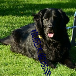 极品(pǐn)太监(jiān)临幸嫔妃(fēi)