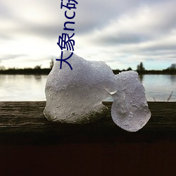 大象nc研究(jiū)入(r��)口