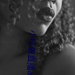小怪兽直播(bō)app