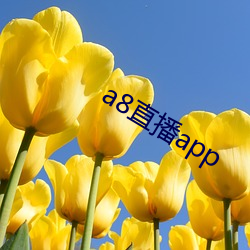 a8直播app （暑假）