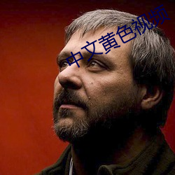 中(zhōng)文(wén)黄色视(shì)频
