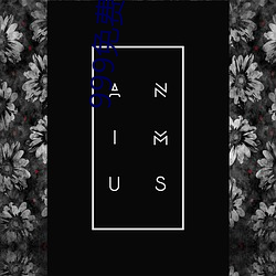 999免费电(din)影(yng)