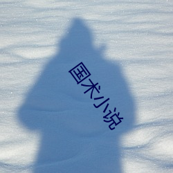 国术小说
