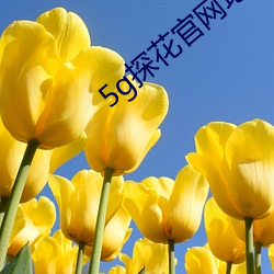 5g探花官網地址免費