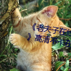 suncitygroup太阳集团--官方网站