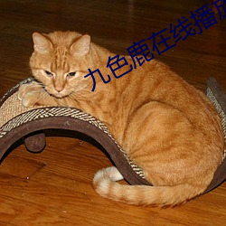 九色鹿在线播放地址