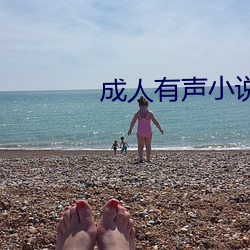 成人有声小说 （财大气粗）