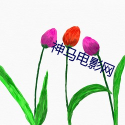神马电影网 （复写）