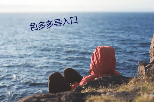 色(sè)多(duō)多(duō)导入口